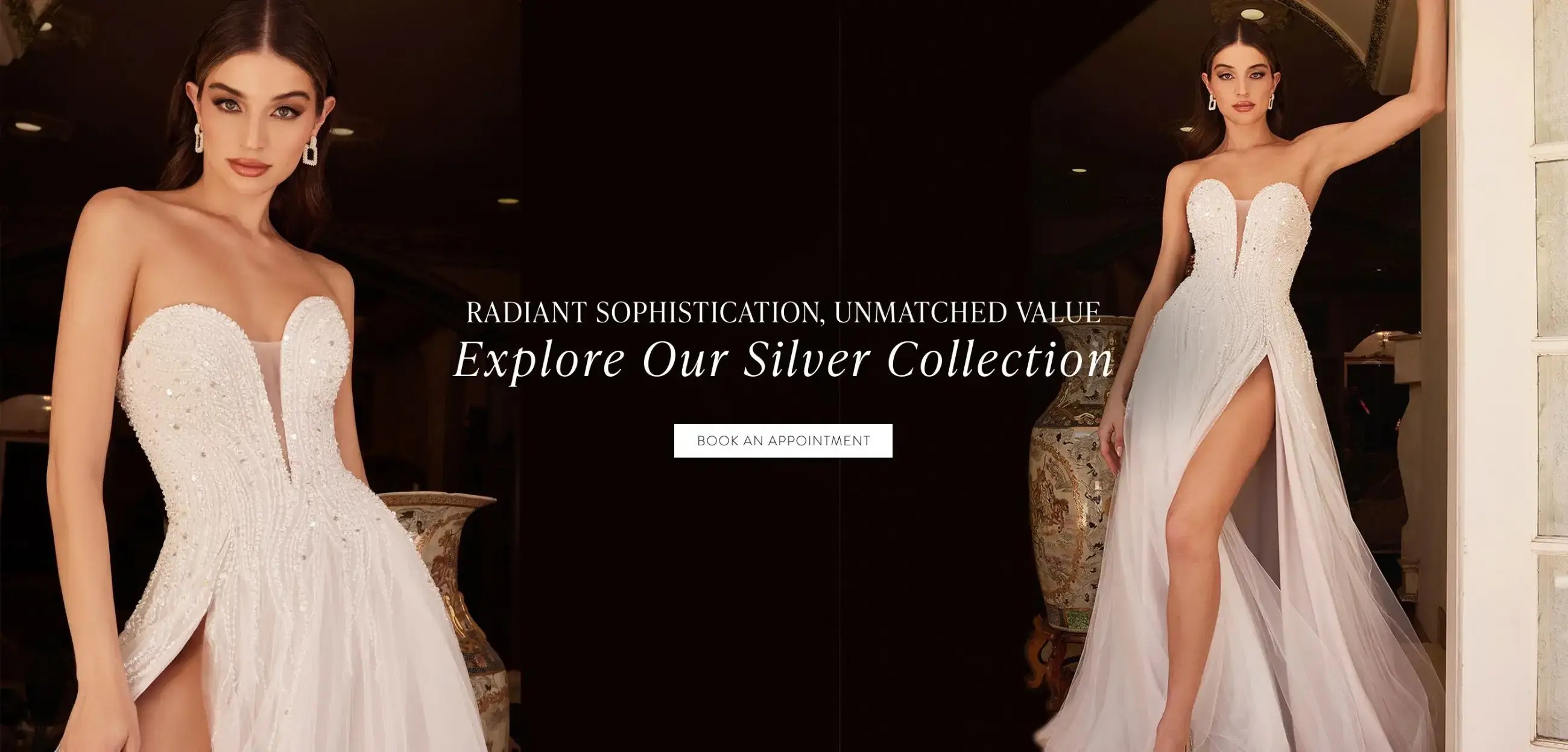 Silver Collection Desktop Banner