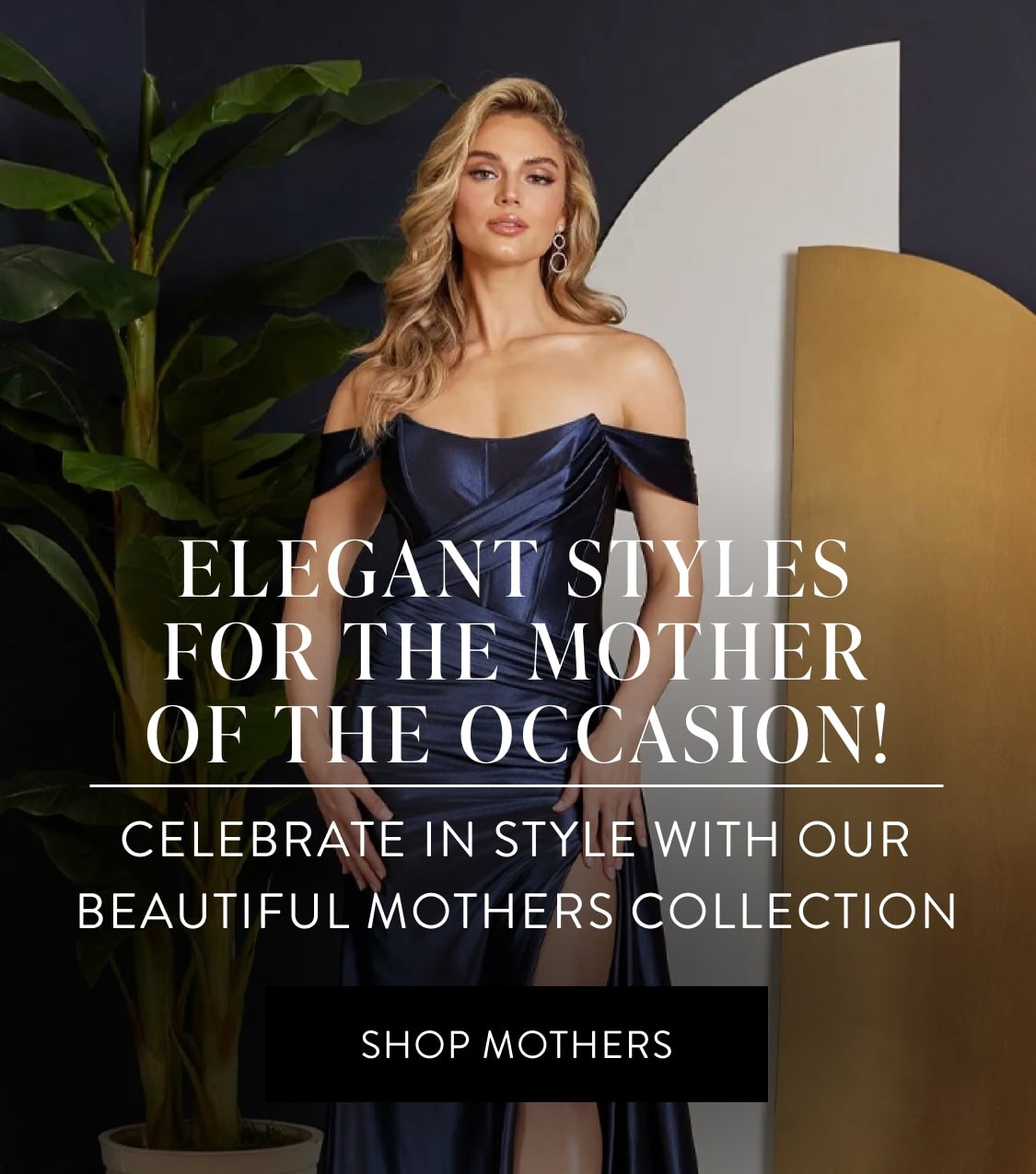 The Dress Shop mothers banner