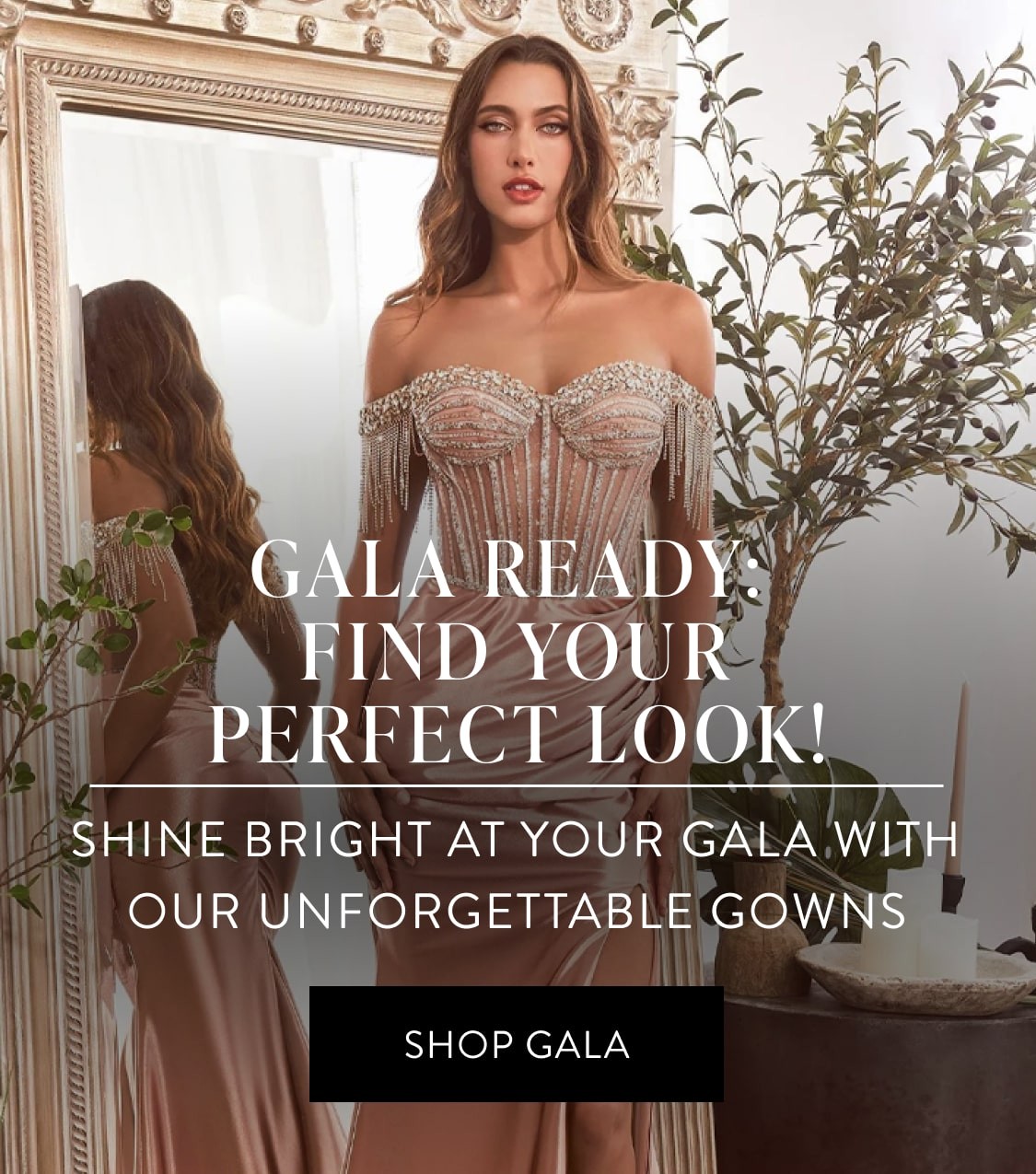 The Dress Shop gala banner