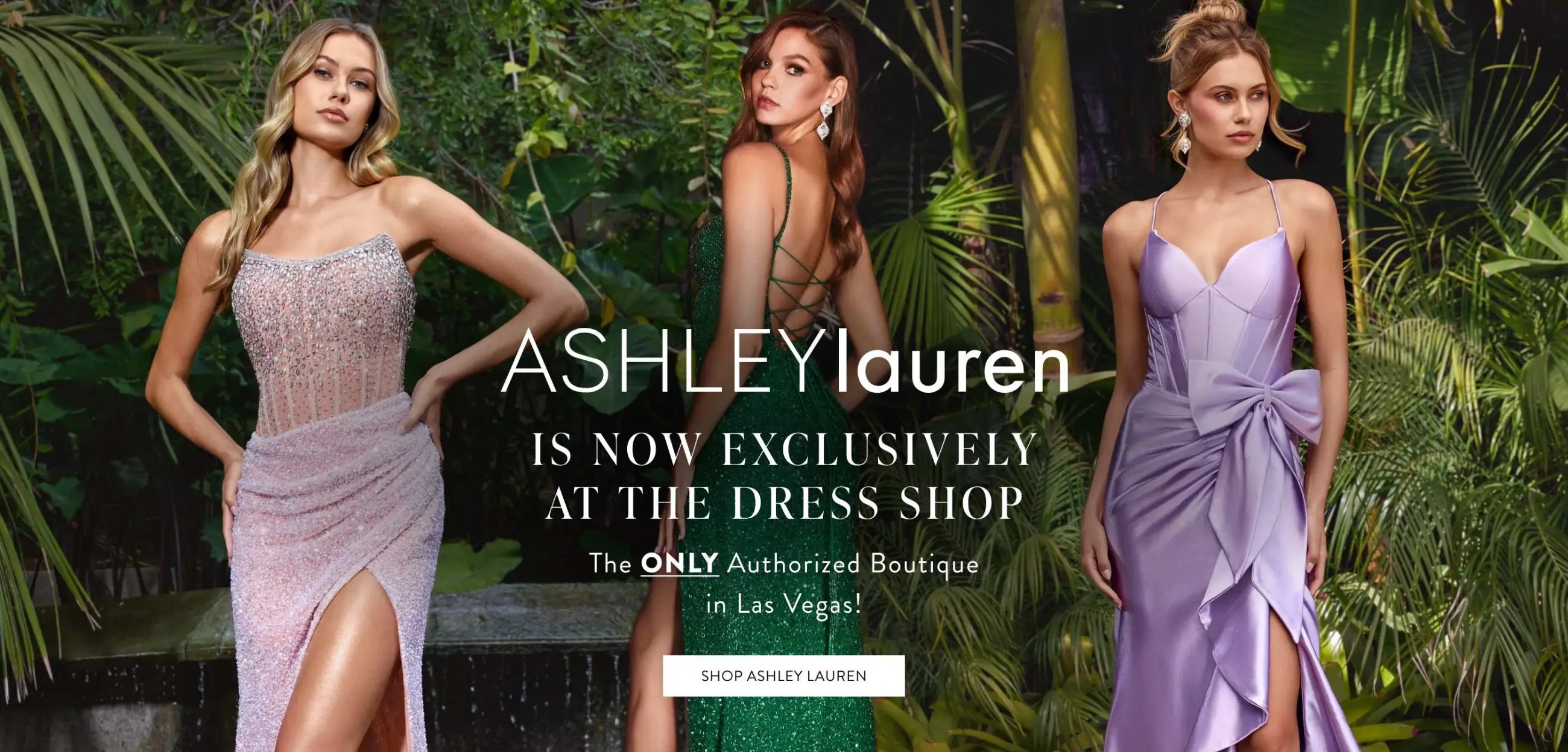 Ashley Lauren at The Dress Shop Now! Desktop Banner